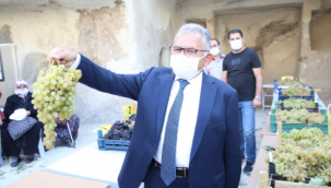 Başkan Büyükkılıç, Ürgüp'te bağ bozumuna katılıp, pekmez kaynattı