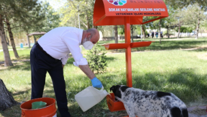 Başkan Çolakbayrakdar: 