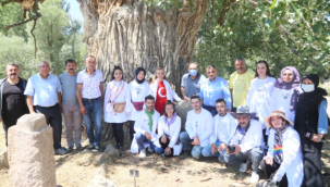 Çataloluk Mahallesi'ndeki mezar taşları tarihe ışık tutuyor