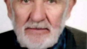 Ceviz toplamak için çıktığı ağaçtan düşerek öldü