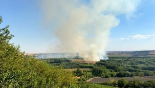 Dünya Mirası Listesi'nde yer alan Hevsel Bahçeleri'nde yangın