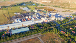 En Yeşil Şeker KAYSERİ ŞEKER 