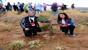 Gençlerin 81 ilden getirdiği topraklarla Kırşehir'de fidan dikildi