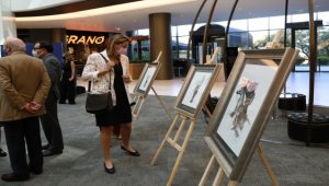 Guatemalalı sanatçı Valdiviezo'nun resim sergisi Ankara'da açıldı