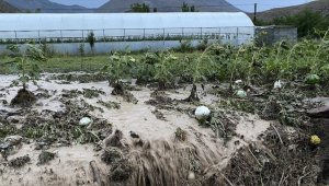 İklim değişikliği tarım sigortalarını kaçınılmaz kılıyor