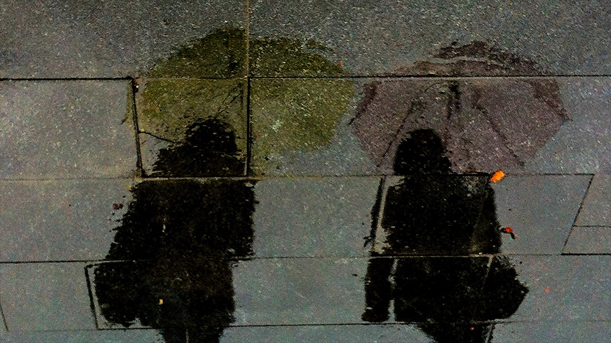 Karadeniz'in bazı illerinde yarın kuvvetli yağış bekleniyor