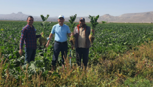 Kayseri Yeşilhisar'da 