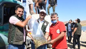 Kayseri'de 13 farklı göl ve gölete 678 bin yavru balık bırakıldı
