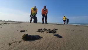 Mersin'de Suriye kaynaklı petrol sızıntısına ilişkin temizlik çalışması başlatıldı