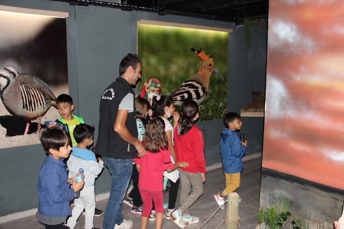 Minik öğrenciler Aşıkpaşa Tabiat Parkı'nda