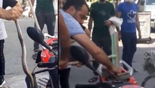 Motosikletteki yılanı eliyle yakaladı ​