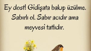 Sabır Acıdır Meyvesi Tatlıdır Atasözünün Anlamı Nedir? Kısaca Açıklaması Ve Örnek Cümle…