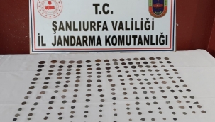 Şanlıurfa'da 210 sikke ele geçirildi