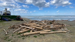 Selde sürüklenen tomruklar, Karadeniz'e yayılıyor