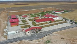 Sivas Kangal köpeklerinin genetiği çiple korunuyor