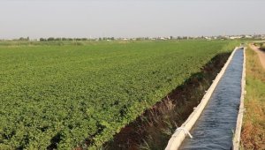 Tarımda gelecek yıl sulama ve altyapı yatırımlarına hız verilecek