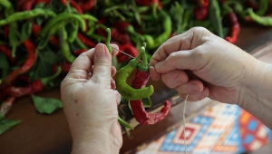 Tava ciğerin lezzet yoldaşı Karaağaç acı biberi 