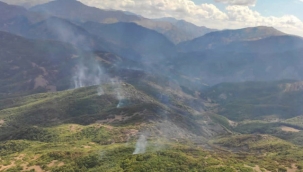 Tunceli'deki örtü yangını, 3'üncü günde kontrol altında 