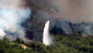 YPG/PKK'lı teröristten orman yangınlarıyla ilgili itiraf