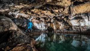 15 ildeki 83 mağarada yaşayan hayvan türleri araştırılıyor