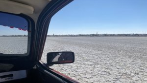 Aksaray'da flamingoların uğrak noktası Akgöl kurudu