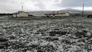 Ardahan'da dolu etkili oldu