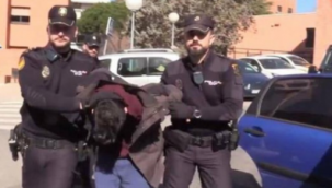 Böyle evlat olmaz olsun! Annesini öldürdükten sonra parçalara ayırıp yedi