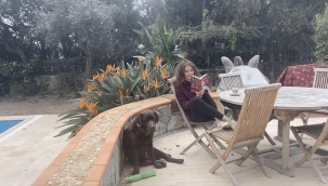 Camdaki Kız hangi kitaptan uyarlama? Camdaki Kız gerçek mi? Camdaki Kız yaşandı mı? Camdaki Kız kitap özeti pdf oku!