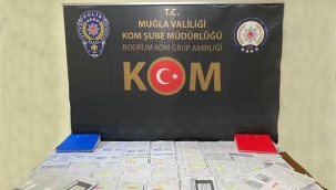 Çekirge operasyonu! 28 ilde 235 gözaltı