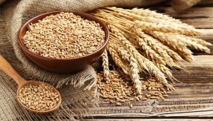 Çiftçiyi üzecek zamlar! 1 kilo buğdayın maliyeti 5 TL’ye dayandı