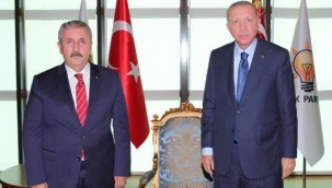 Cumhurbaşkanı Erdoğan, Destici ile görüştü