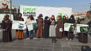 Dikeceğimiz Her Bir Fidan Geleceğe Umuttur