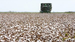 Emtia piyasalarında metallerin performansı dikkati çekerken, pamuk zirve tazeledi