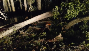 Erzurum'da kamyonun devrilmesi sonucu 2 kişi hayatını kaybetti