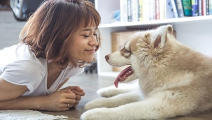 Evcil hayvanlar zihinsel sağlığınızı nasıl iyileştirebilir?