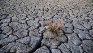 İklim değişikliğiyle mücadelenin en büyük paydaşı gençler ve kadınlar olacak