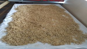 Kadın muhtarın kurduğu kooperatif hemcinslerine gelir kapısı oldu