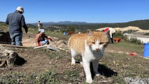 Kahin Tepe kazı ekibinin maskotu: Sarman