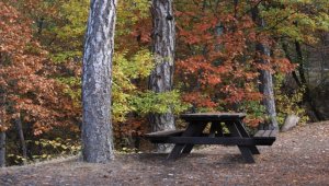 Karagöl ve Soğuksu Milli Parkı'nda renk cümbüşü yaşanıyor