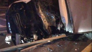 Kayseri'de yarış atlarını taşıyan kamyonet devrildi: 2 ölü, 1 yaralı