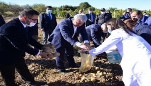 Kırşehir Valisi Akın, öğrencilerin uygulama bahçesinde patates hasadına katıldı 