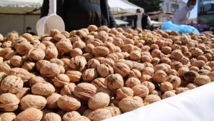 Kırşehir'de yeni mahsul Kaman cevizi tezgahlardaki yerini aldı