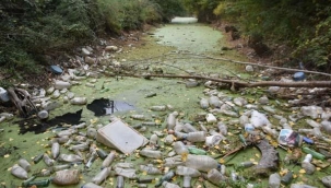 Kuraklıktan yeşile bürünen Bayır Deresi, çöplüğe döndü
