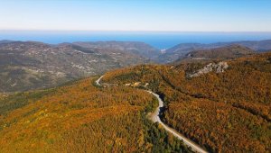 Küre Dağları'nda sonbahar güzelliği