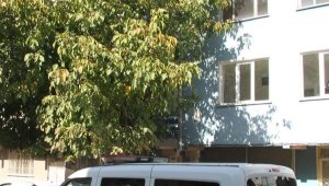 Oğlu ile yaşayan kadın ölü bulundu