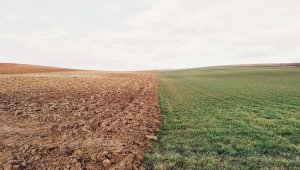 Paris Anlaşması'nı onaylayan Türkiye için iklim politikasında yeni dönem başlıyor