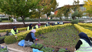 Peyzaj Yüksek Mimarı Esra Özel, “Yerli üreticilerden alıp Ankara şartlarına uygun bitkileri kent geneline dikiyoruz.