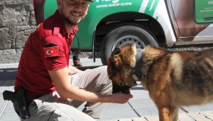 Polis, köpek ve kuşları besledi