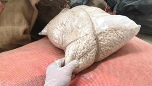 Şanlıurfa'da ele geçirildi! Tam 590 bin adet...