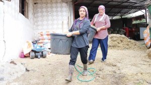 Süt üreticisi 'süper eltiler' birlikte çalışıp kazanıyor